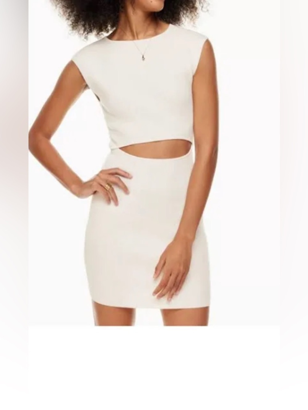 Aritiza Sweater Mini Dress